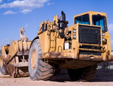 Plant Establishment (1) Plant Establishment (1)